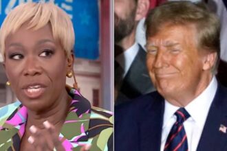 Joy Reid Spots Trump 'Grovel' Trend After His New Hampshire Victory