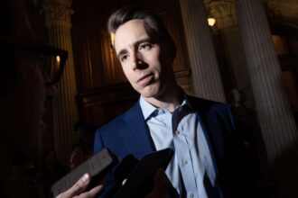 Josh Hawley Thinks the White House Can Force an Aluminum Plant To Stay Open