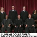 Trump officially files appeal to Supreme Court, asking to pause immunity ruling