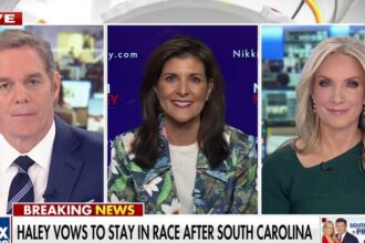 Nikki Haley: We cannot win if Donald Trump is the nominee