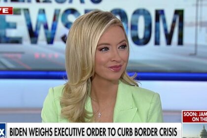 Kayleigh McEnany: Trump 'nullifies' critics when he addresses key issues outside of the courtroom