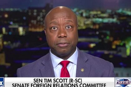 Tim Scott: The things Biden has said in the face of African Americans is 'despicable'