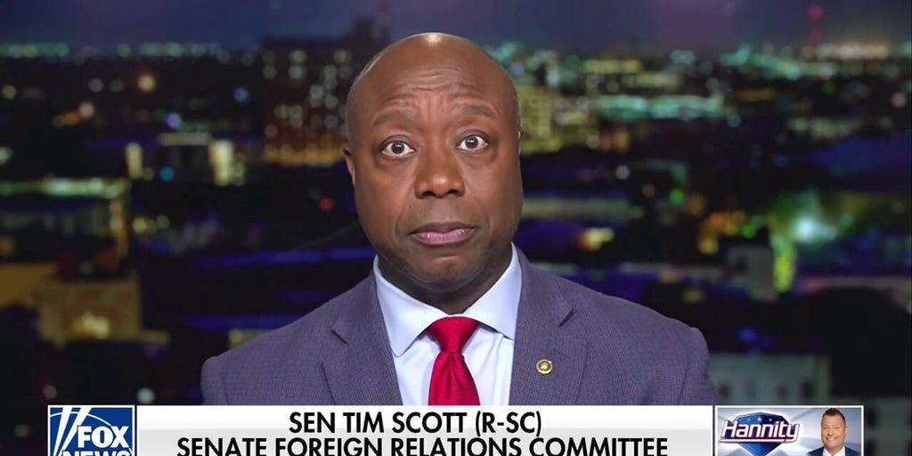 Tim Scott: The things Biden has said in the face of African Americans is 'despicable'