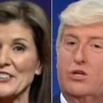 'Why Won't You Debate' Me?: Nikki Haley Crashes Trump's 'SNL' Town Hall In Surprise Cameo