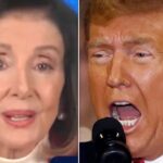 Nancy Pelosi Brutally Shades Trump Without Even Using His Name