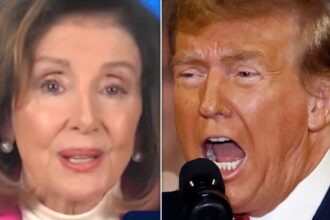 Nancy Pelosi Brutally Shades Trump Without Even Using His Name