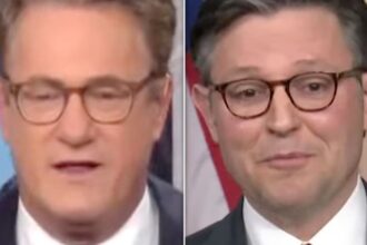 Joe Scarborough Offers Stark Translation Of Mike Johnson’s Latest Spin