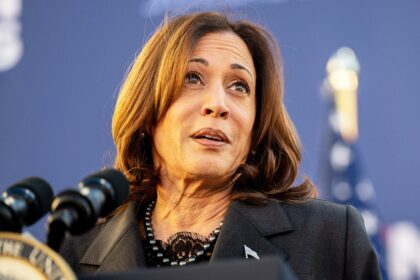 Kamala Harris ratings continue to plummet as 2024 presidential election nears: poll