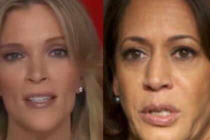 Megyn Kelly Skewers Media For Blaming Kamala Harris’ Unpopularity On Her Skin Color