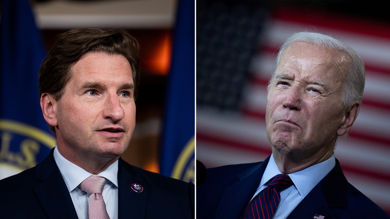 Biden challenger Dean Phillips says everyone can see president’s ‘decline’ after special counsel report