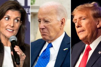 Nikki Haley’s campaign against Trump has siphoned thousands of ‘large dollar’ donors away from Biden