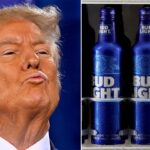 Trump rushed to Bud Light’s defense as Anheuser-Busch lobbyist slated to host fundraiser for him