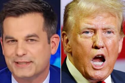 Michael Kosta Nails Alarming Reality Of Trump's 'Entire Brain'