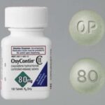 Divided Over Purdue Pharma Deal, SCOTUS Unites in Accepting a Dubious OxyContin Narrative