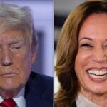 Trump Pollster Warns Campaign A 'Harris Honeymoon' Is Coming