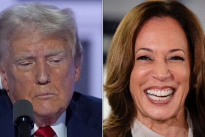 Trump Pollster Warns Campaign A 'Harris Honeymoon' Is Coming