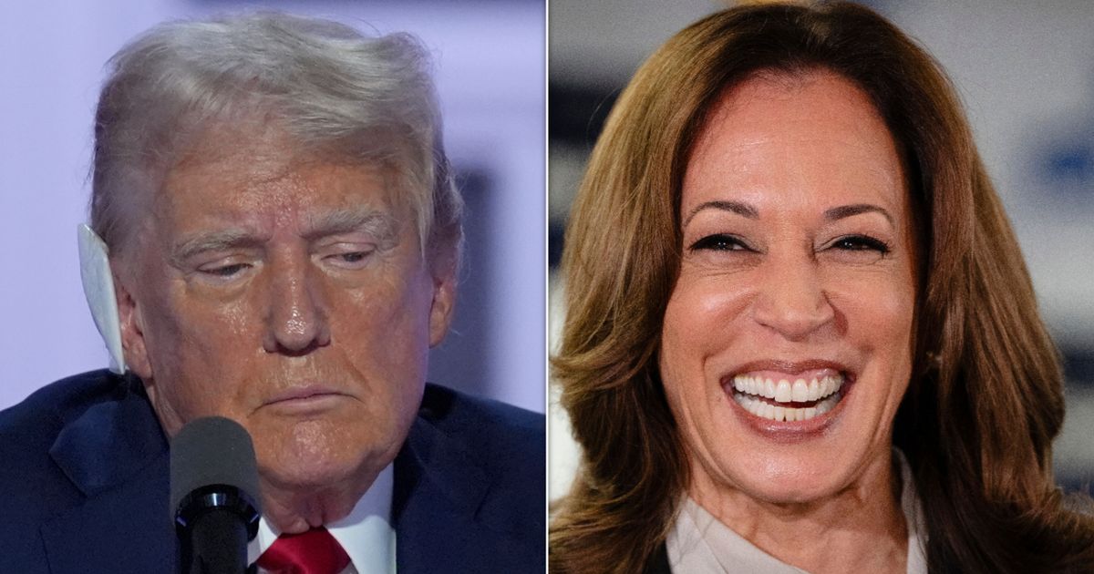 Trump Pollster Warns Campaign A 'Harris Honeymoon' Is Coming