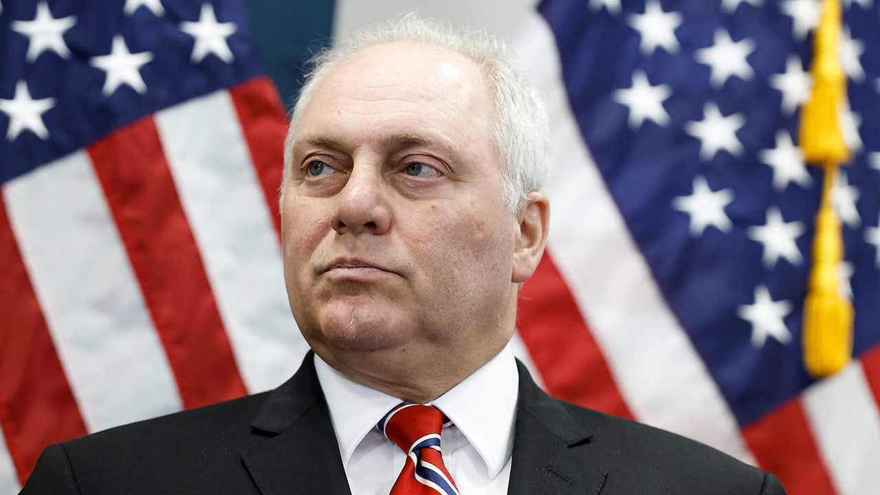 Steve Scalise: The left’s ‘hyper-charged,’ ‘violent’ rhetoric ‘needs to stop’