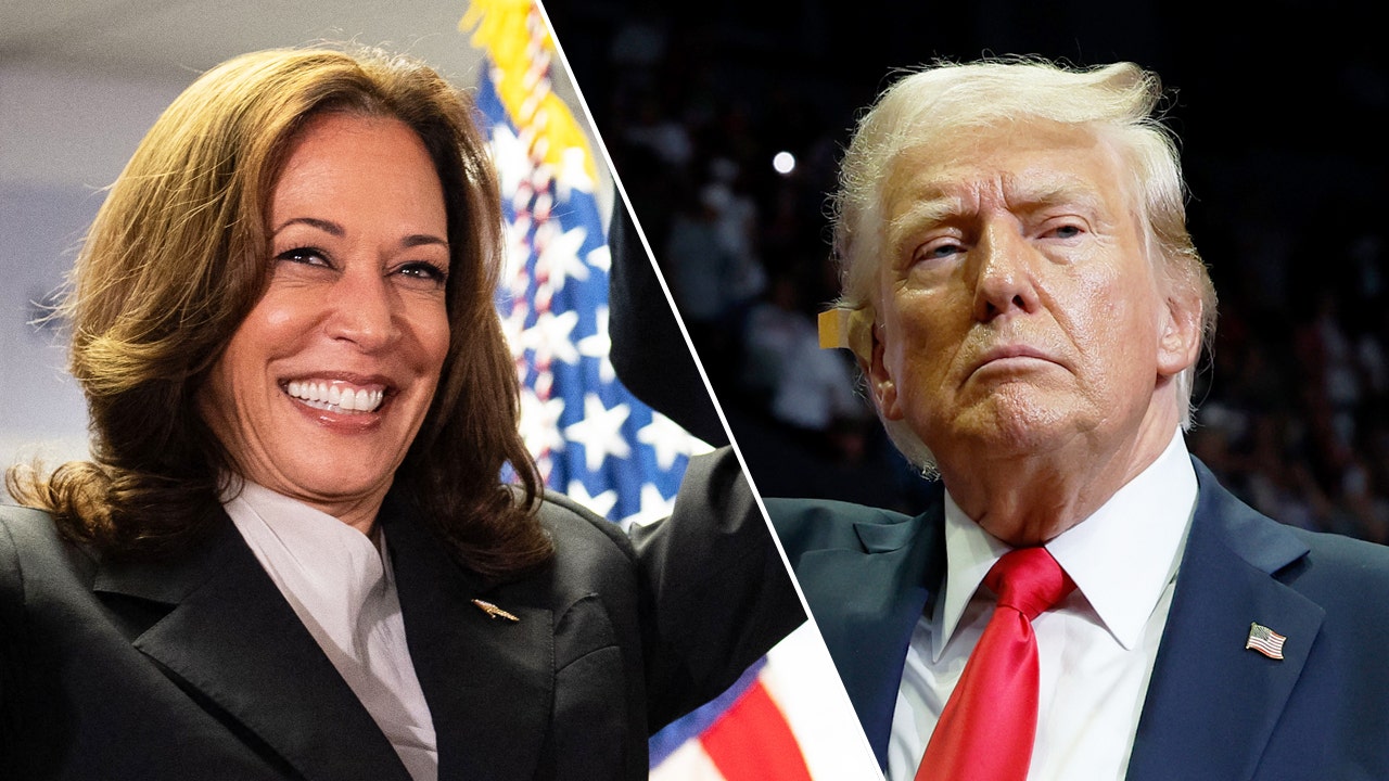 Harris’ backing of bail fund during George Floyd protests dampens Trump ‘prosecutor’ campaign pitch