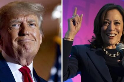 Kamala Harris vs Donald Trump: Opinion polls reveal game changing dynamics