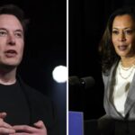 Elon Musk brutally rebukes Kamala Harris for ‘lying’ about Donald Trump: ‘When will politicians…’