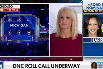 Kellyanne Conway: It's a short-term benefit for Kamala to be undefined, long-term risk