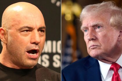 Trump Suggests UFC Fans Will Turn On Joe Rogan For Praising RFK Jr.