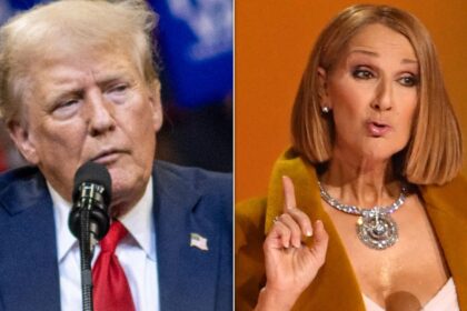 Celine Dion Sinks Trump Campaign's Use Of Iconic Song With 4-Word Question