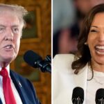 Trump Backtracks When Reporter Confronts Him About Harris Rally AI Lie