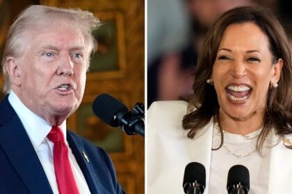 Trump Backtracks When Reporter Confronts Him About Harris Rally AI Lie