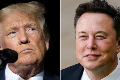 Strategist Who Ran DeSantis' Ill-Fated Bid Is Working With Musk To Help Organize Voters For Trump