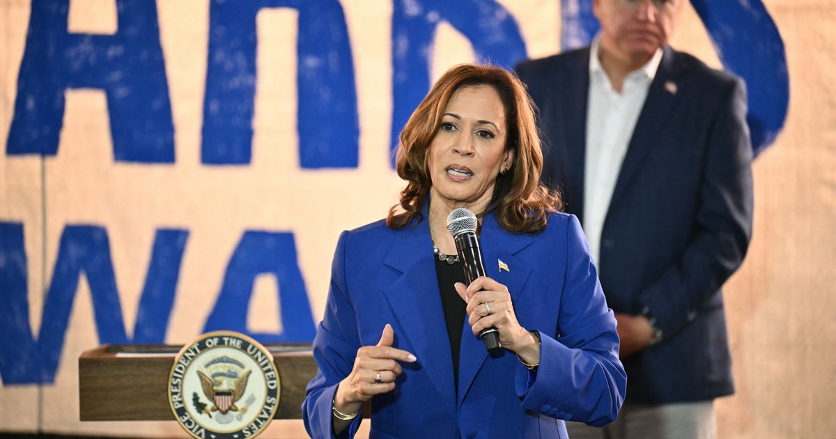 Without Using Trump's Name, Kamala Harris Calls Out 'Coward' Leaders