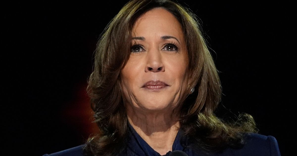 'Trump Is An Unserious Man': Kamala Harris Lays Out What's At Stake In 2024 Race