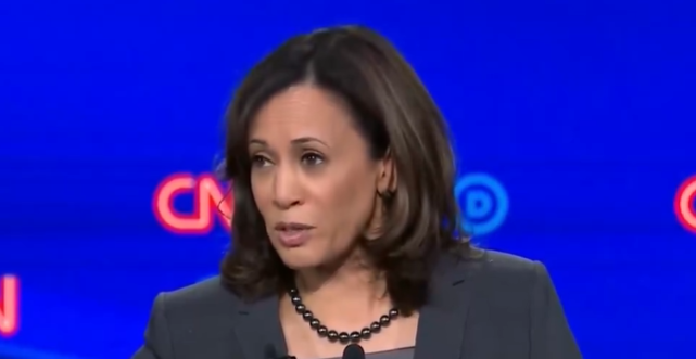 Trump Describes Kamala Harris as ‘Vicious and Dumb,’ Says Those Traits Are A ‘Bad Combination’