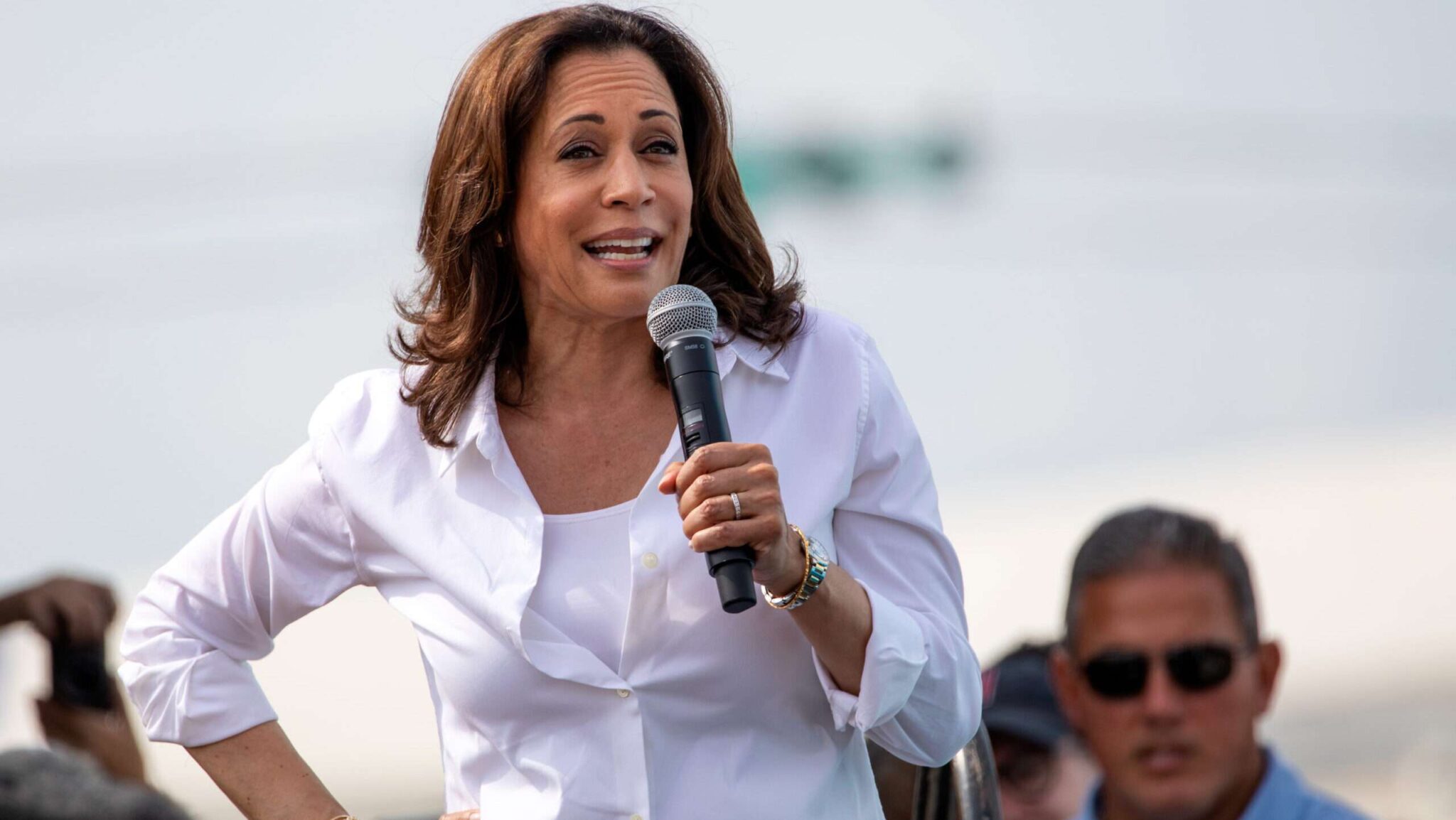 The Dumb and Dumber of Kamala Harris’ ‘Greedflation’ Narrative