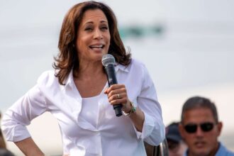 The Dumb and Dumber of Kamala Harris’ ‘Greedflation’ Narrative