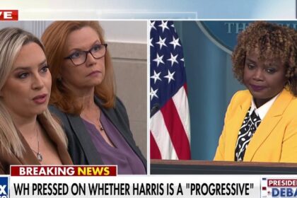 White House pressed on whether Kamala Harris is a 'progressive Democrat'