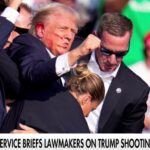 Secret Service had 'complete breakdown in communication' during Trump shooting: Rep. Michael Waltz