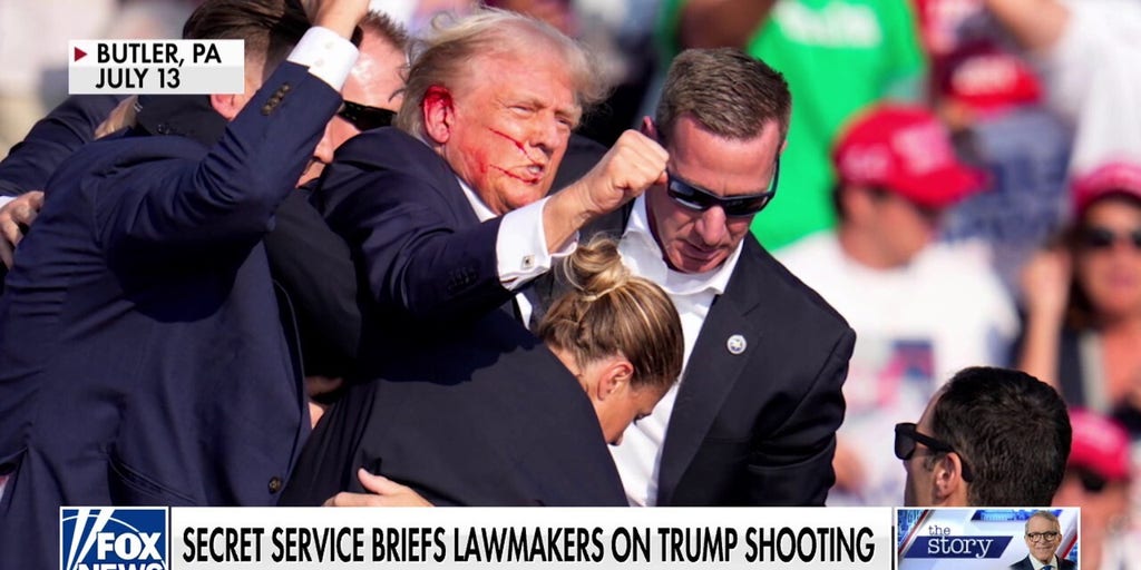 Secret Service had 'complete breakdown in communication' during Trump shooting: Rep. Michael Waltz