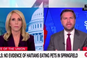 JD Vance accuses CNN host of going easy on Harris, Walz during contentious interview about Trump's 'eating the pets' claim