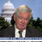 There is a legitimate concern over illegal immigrants voting: Newt Gingrich