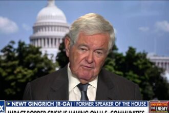 There is a legitimate concern over illegal immigrants voting: Newt Gingrich