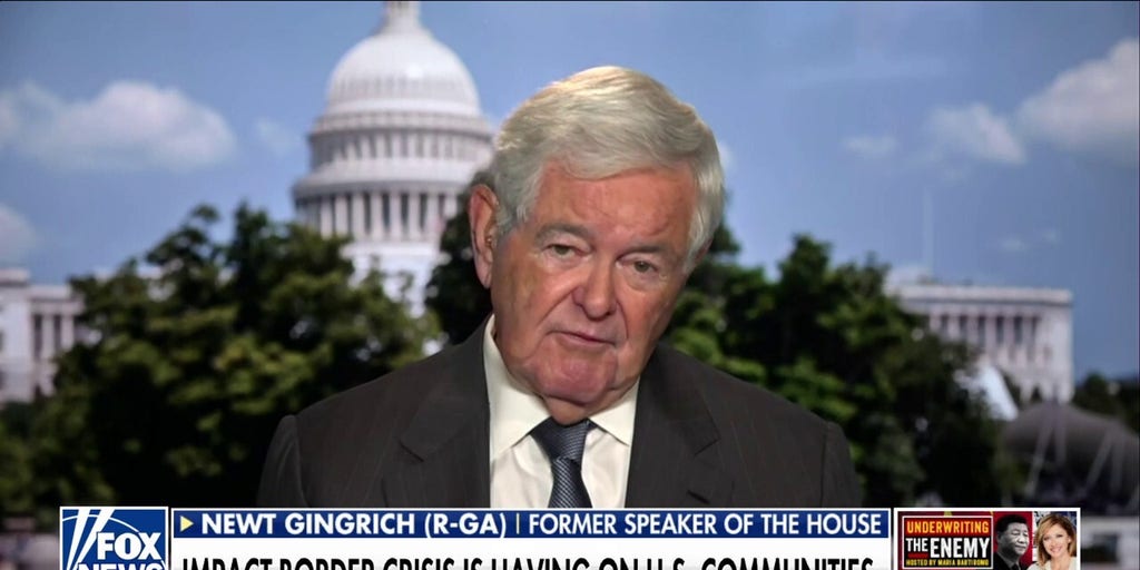 There is a legitimate concern over illegal immigrants voting: Newt Gingrich