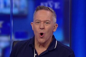 Gutfeld: CNN reporter interviewing boater knew 'nothing' about economics!