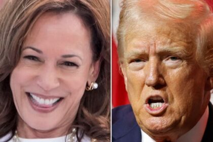 Kamala Harris' Campaign Strikes Rawest Of Nerves For Trump In Mocking New Ad