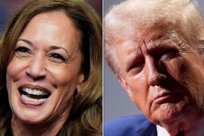 Harris Campaign Trolls Trump With Brutal Reminder Of His Tanking Stock Price