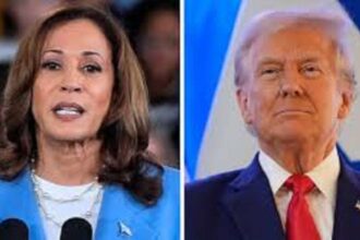 My New The Hill Article on How Trump and Harris Cater to Political Ignorance