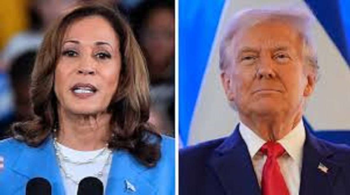 My New The Hill Article on How Trump and Harris Cater to Political Ignorance