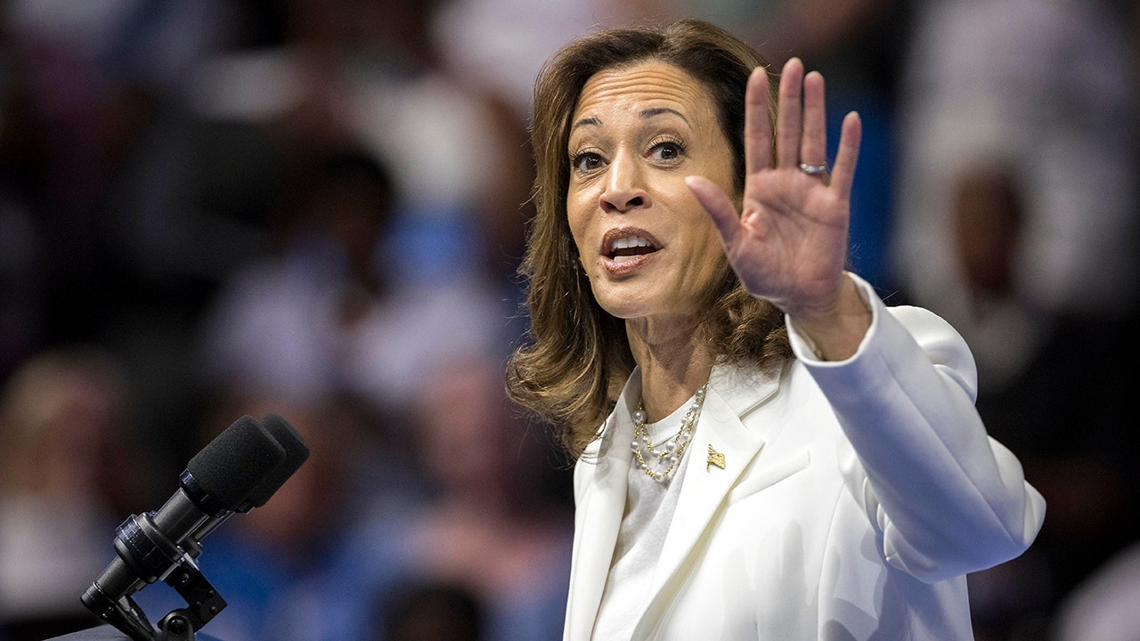 Undecided Pennsylvania voters call on Harris to be clear about her policies at debate: ‘Not just hype us up’