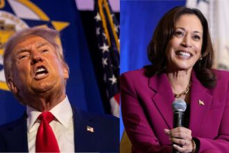 Trump and Harris Both Favor Tax Hikes That Would Hurt Ordinary Americans